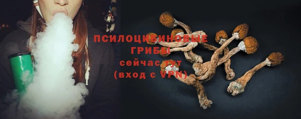 винт Баксан