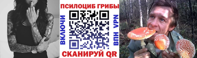 Галлюциногенные грибы мухоморы Вельск